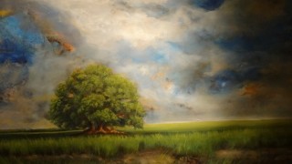 6 artistas muestra vicky peláez