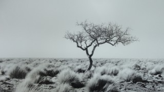 patagonia argentina