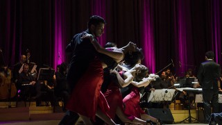 seleccionado federal de tango