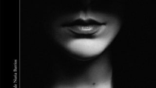 las sombras de quirke