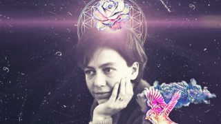 las lilas el silencio y la noche