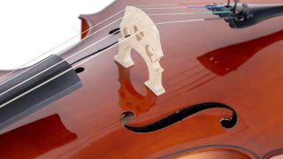 festival puntal violonchelo rafael delgado