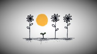 late bloomers