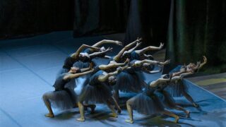 el lago de los cisnes ballet jorge amarante coreógrafo