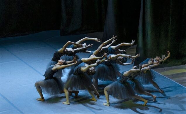 el lago de los cisnes ballet jorge amarante coreógrafo