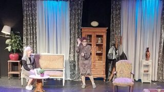 Radojka teatro comedia patricia palmer cecilia dopazo actriz