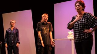 el óvulo teatro graciela pereyra directora carolina sturla autora