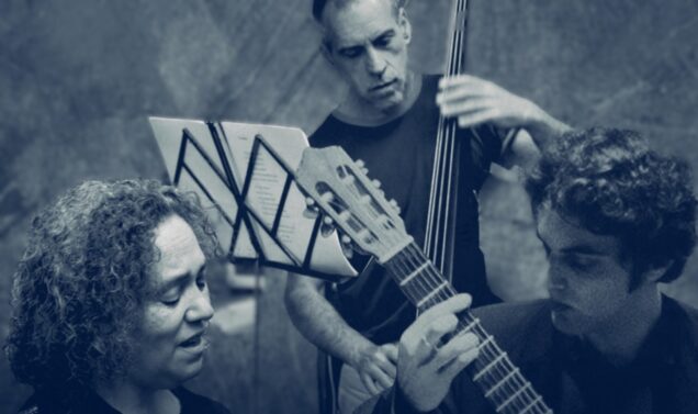 verónica walfisch cantante