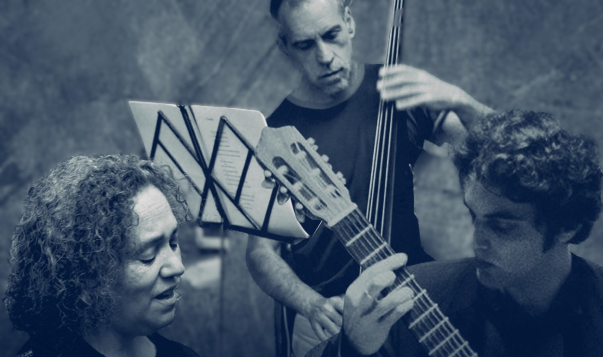 verónica walfisch cantante