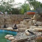 mundo marino parque