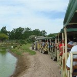 mundo marino parque