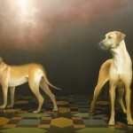 Héctor Borla artista plástico Rubbers galería de arte