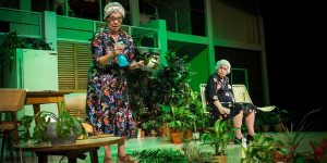 cae la noche tropical teatro manuel puig autor pablo messiez director