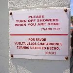 traductor automático