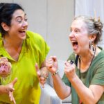 El ávido espectador teatro carolina adamovsky directora alejandro zingman dramaturgo