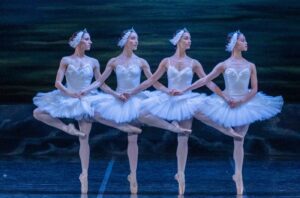 El lago de los cisnes ballet Teatro Colón ballet estable