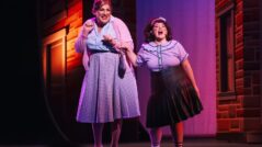 hairspray musical fernando dente director