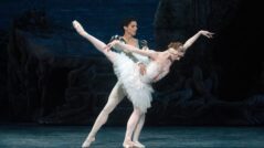 swan lake ballet el lago de los cisnes
