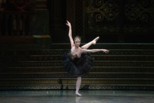 swan lake ballet el lago de los cisnes