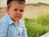 Hasbulla Magomedov influencer